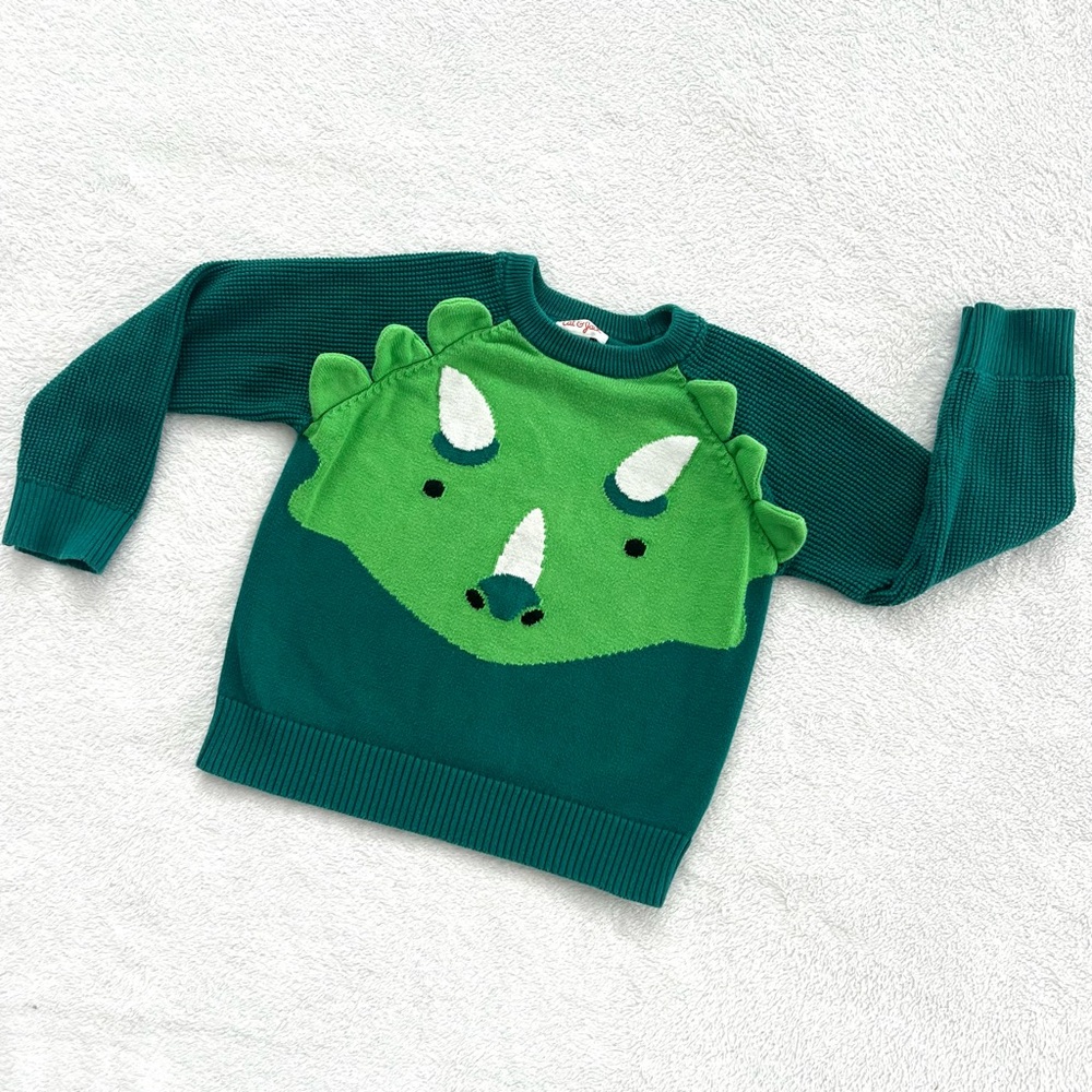 Cat & Jack Dinosaur Kids Sweater 5T